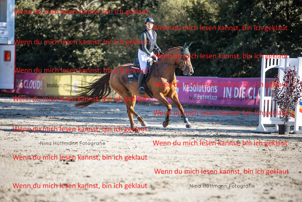 BK1A7628 | Turnierbilder Turnierfotos Nina Hüffmann Turnierfotografie Pferdefotografie Tierzeichnung Haustierzeichnung Pferdezeichnung Hundezeichnung Videograf  - Realisiert mit Pictrs.com