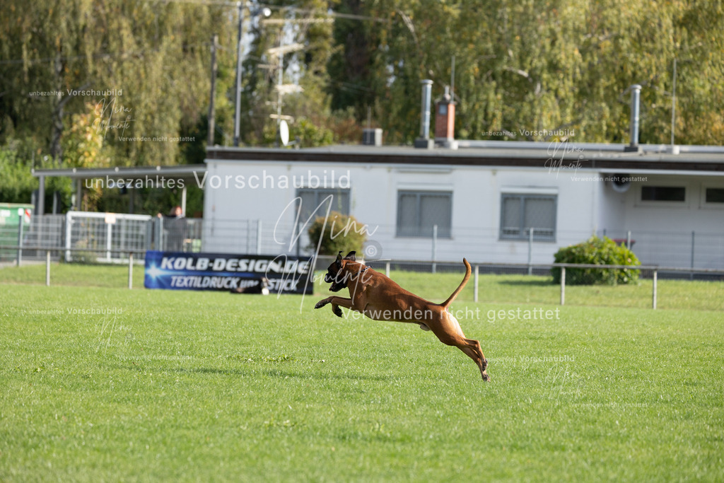 _16A6597 | Einzigartige Fotos von Hunden & Menschen –Actionfotos, Portraits, Vereinsaufnahmen & Paarshootings – authentisch, lebendig & mit Herz.