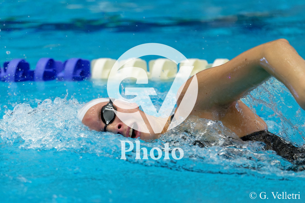 DSC_1405 | Velletri Photo