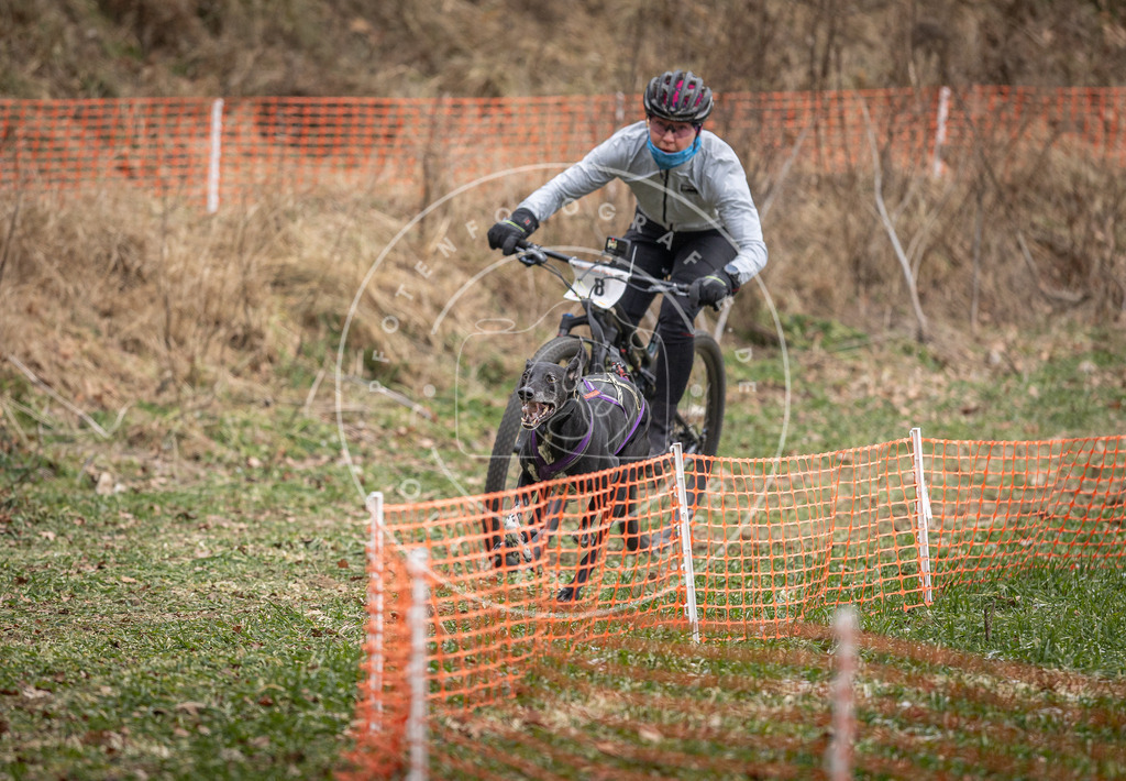 Pfotenfotografie_DV3A6536 | Hundefotografie, Tierfotograf, Pfotenfotografie, Fotoshooting Hund, Hunde Portrait, Hundesport, Hundeportraits, Heideshooting, Hunde, Sportfotograf, Hundefotograf, Turnierhundsport, THS,  - Realisiert mit Pictrs.com
