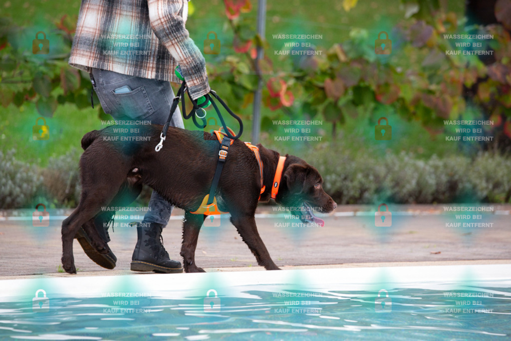 _HP_7553_1000o | HetPix, HetPix Fotodesign, Fotografie, Fotodesign, Webshop, Sportfotografie, Portraitfotografie, Onlineshop, Sportfotografie, Polch, Motorsportfotografie, Eventfotografie