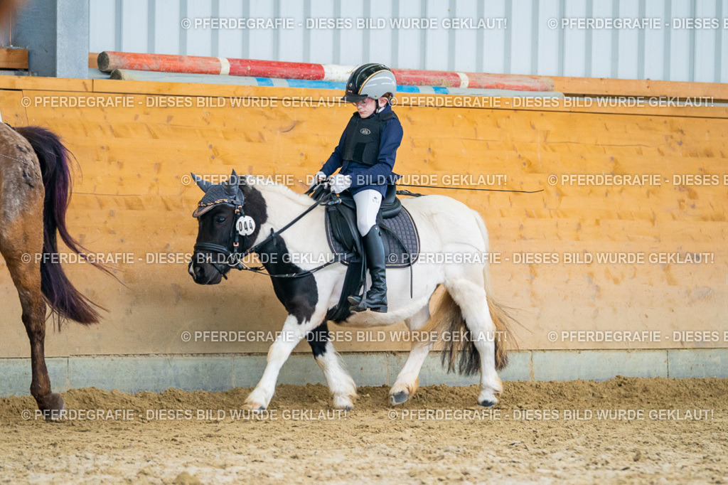 DSC01280 | Pferdegrafie