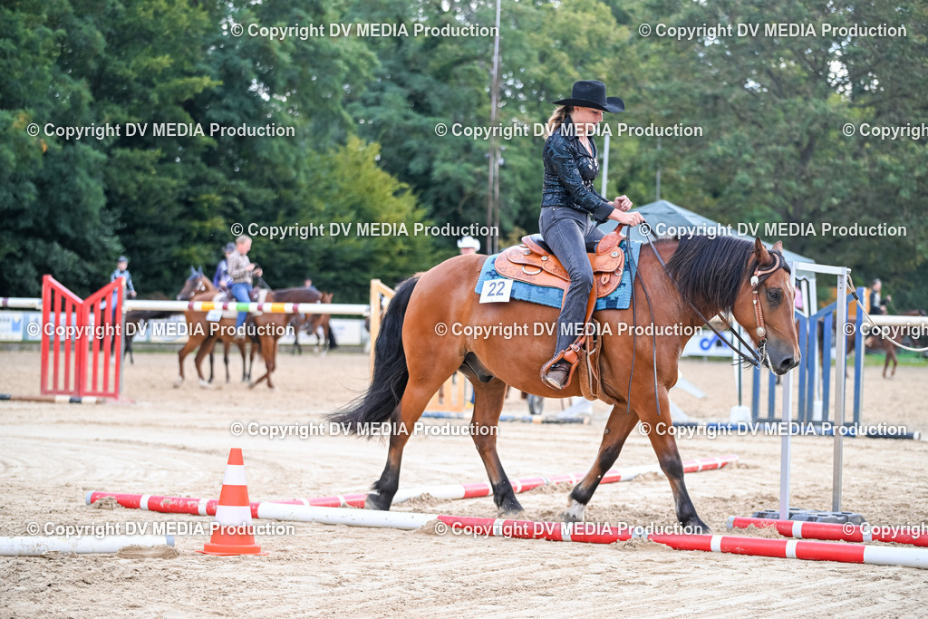 ZS1_3349 | dv-media-shop - Realisiert mit Pictrs.com