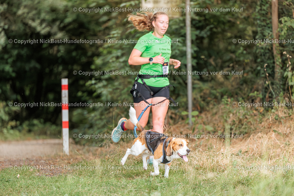THS-Quakenbrück-2026-Nickbest-Hundefotografie-0387 | Dein Hund! Dein Moment! Deine Erinnerungen! Hundefotografie in Bremen Blumenthal. Ich fange die besonderen Momente deines Vierbeiners ein – ob Indoor mit Blitzanlage oder in der freien Natur. Sicher dir dein Moment und dein Termin für eure Erinnerungen.