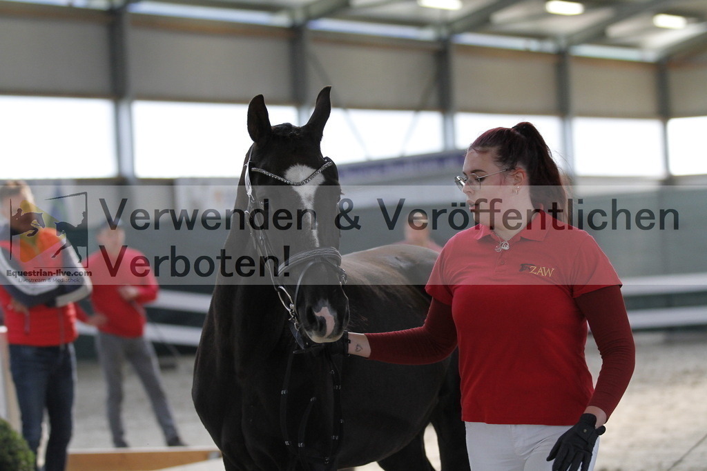 _MG_9642 | equestrian-live-com