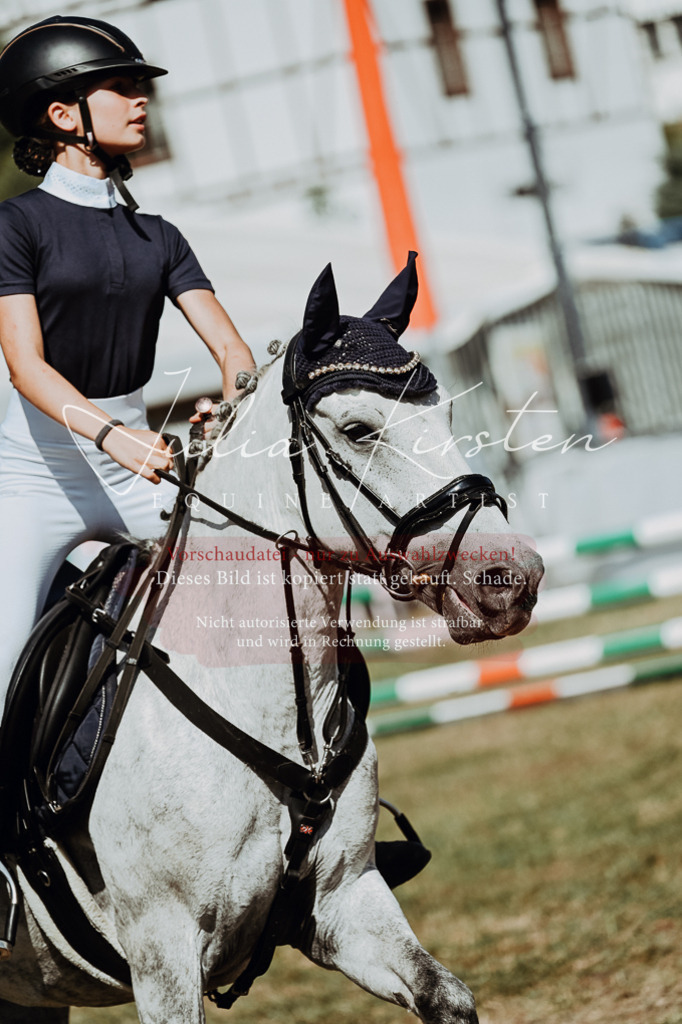 DSC_0027 | Pferde- und Turnierfotografie in Westsachsen. Pferdeportraits, Auftragszeichnungen und intuitive Kunst.