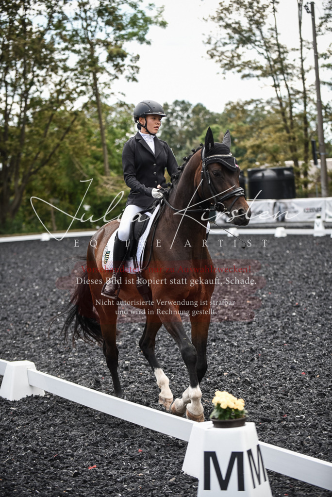 DSC_4592 | Pferde- und Turnierfotografie in Westsachsen. Pferdeportraits, Auftragszeichnungen und intuitive Kunst.