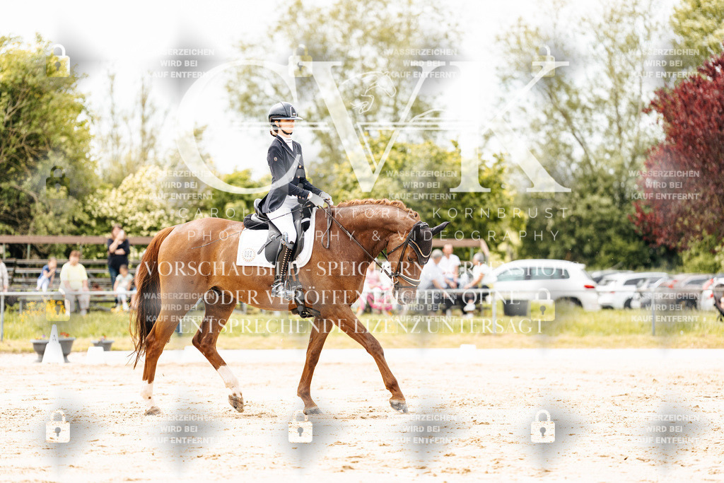 CK902801 | Turnierfotografie Pferdefotografie Trier Rheinland-Pfalz Pferdesport Reitsport Tierfotografie Sportfotografie Pferdevideo Pferdevideografie Equestrianvideography equestrianphotography  - Realisiert mit Pictrs.com