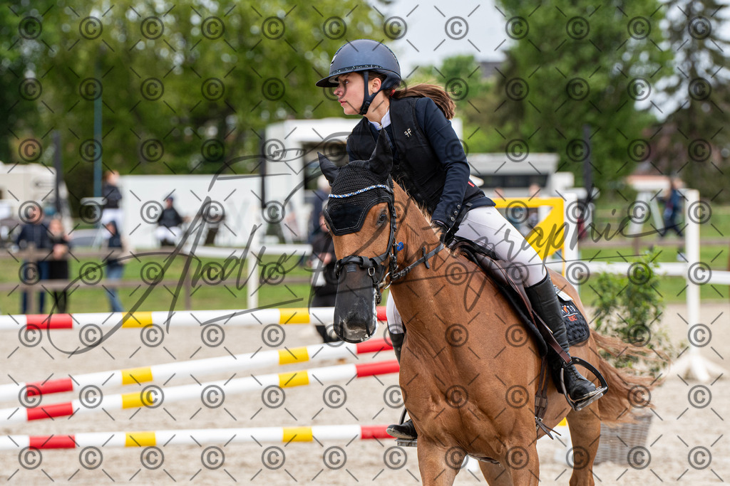 KPT_8294 | andre_photographic