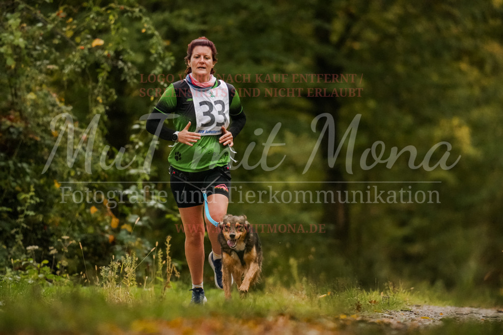 20251005_THS_Turnier-33 | MuT (Mensch und Tier) mit Mona - Fotografie und Tierkommunikation - Realisiert mit Pictrs.com