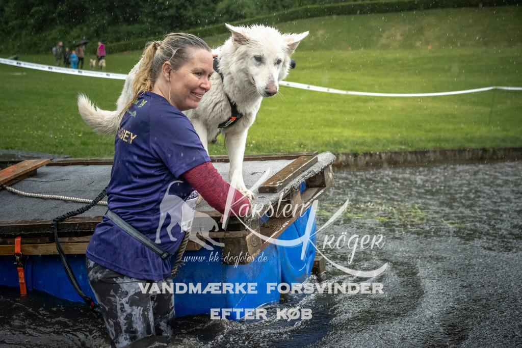 1322_ZZ97895 | kk-dogfotos