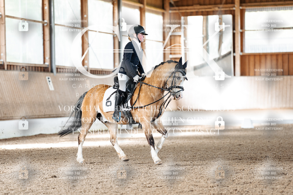 CK909206 | Turnierfotografie Pferdefotografie Trier Rheinland-Pfalz Pferdesport Reitsport Tierfotografie Sportfotografie Pferdevideo Pferdevideografie Equestrianvideography equestrianphotography  - Realized with Pictrs.com