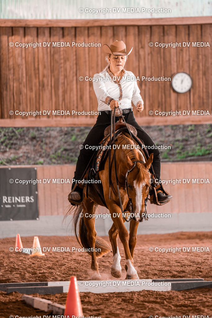 NE300156 | dv-media-shop - Realisiert mit Pictrs.com