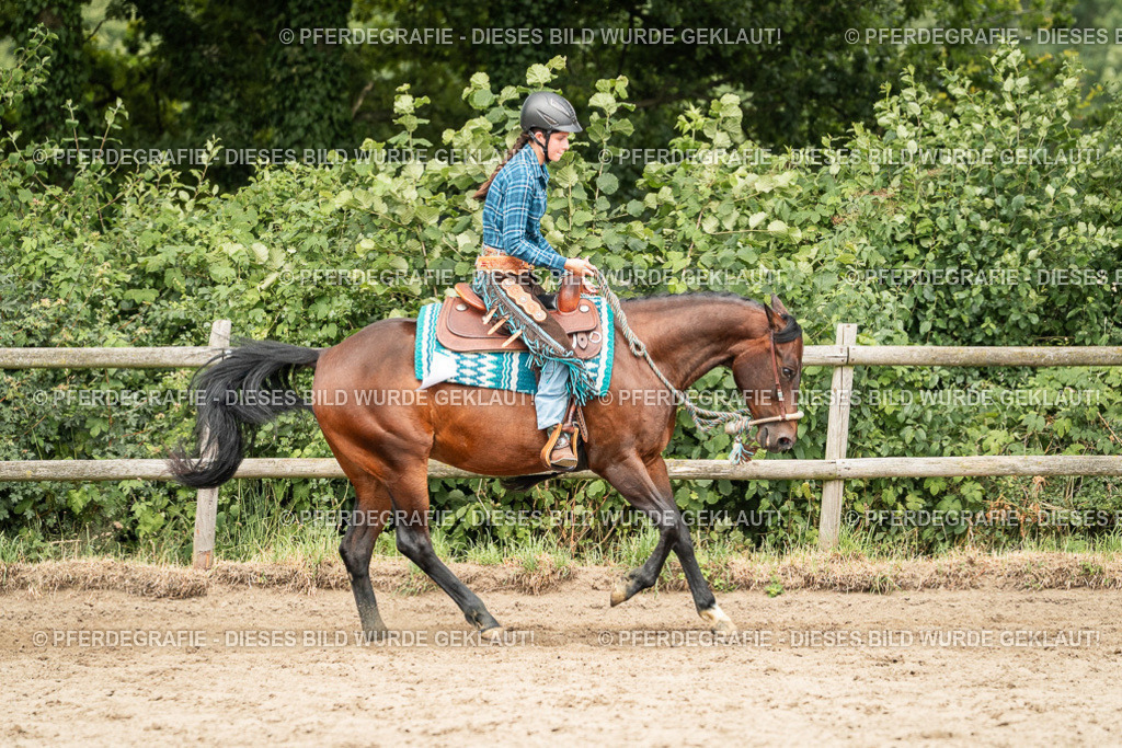 DSC03962 | Pferdegrafie