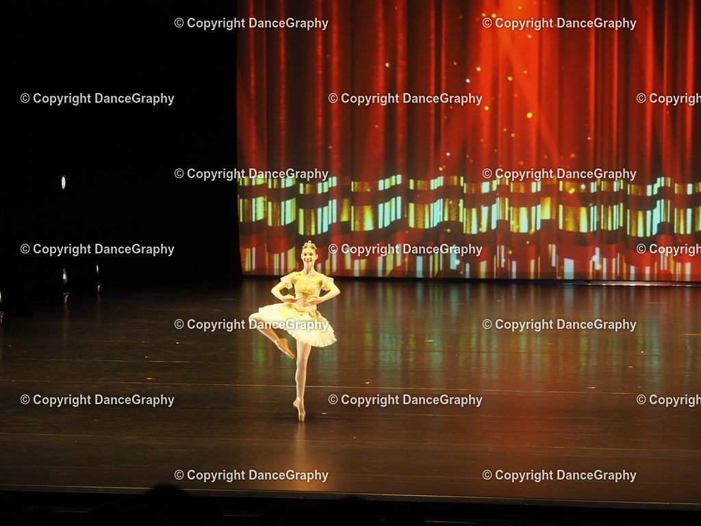 P7260419 | DanceGraphy - Realisiert mit Pictrs.com