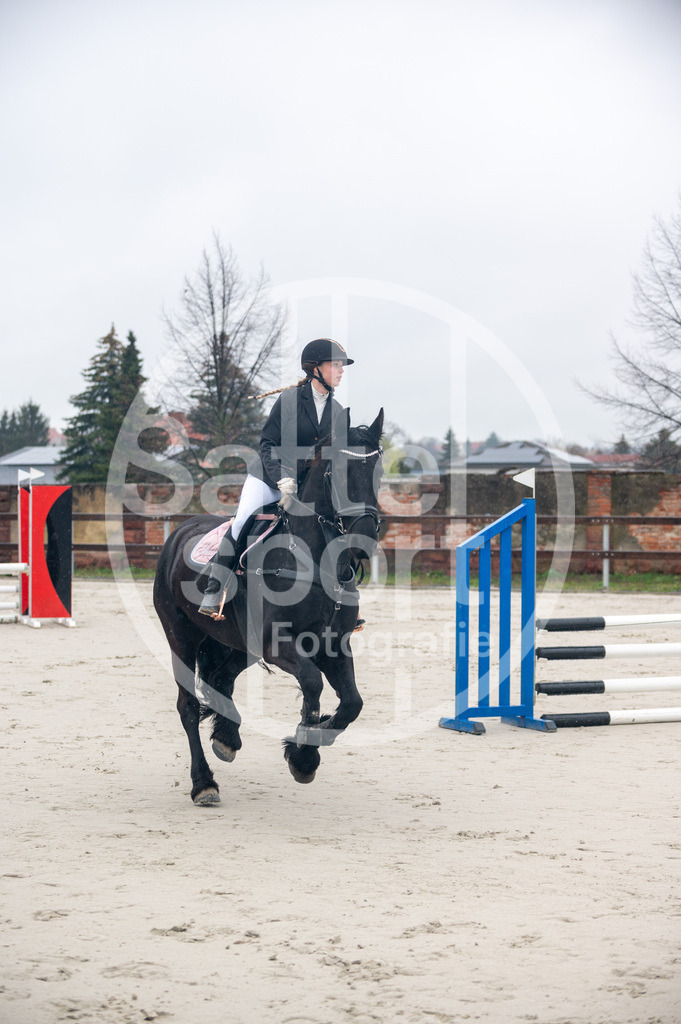 DSC_8202 | sattelsport - Realisiert mit Pictrs.com