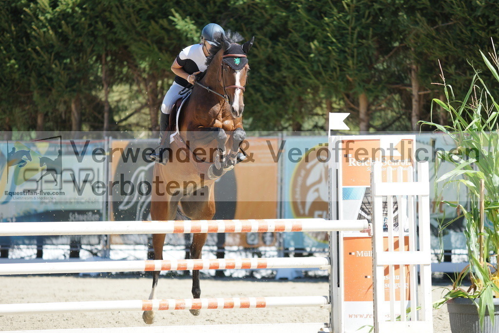 DSC02572 | equestrian-live-com