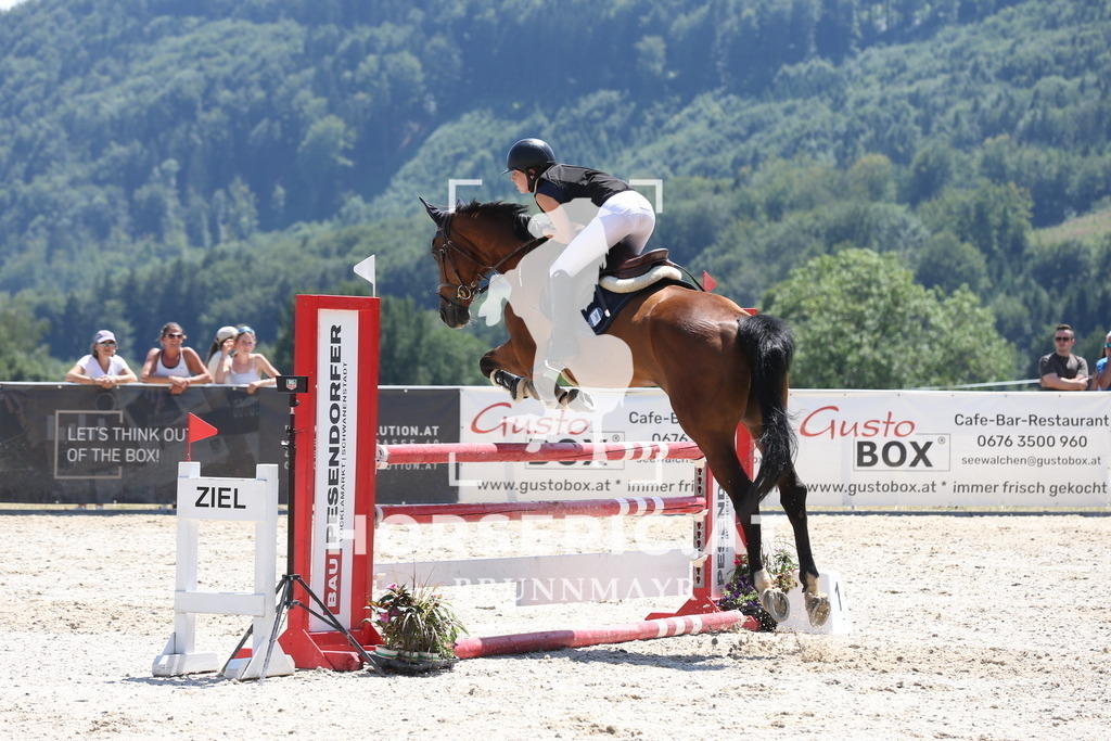 PP017573 | Willkommen bei Brunnmayr - Design & Fotografie – Ihrem Spezialisten für Reitturniere und Pferdeveranstaltungen in Oberösterreich, Salzburg und Bayern! Seit über 17 Jahren sind wir leidenschaftlich dabei.