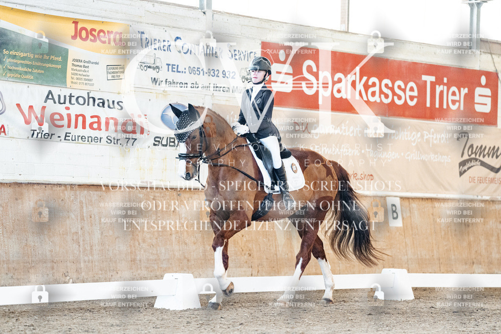 CK906760 | Turnierfotografie Pferdefotografie Trier Rheinland-Pfalz Pferdesport Reitsport Tierfotografie Sportfotografie Pferdevideo Pferdevideografie Equestrianvideography equestrianphotography  - Realisiert mit Pictrs.com