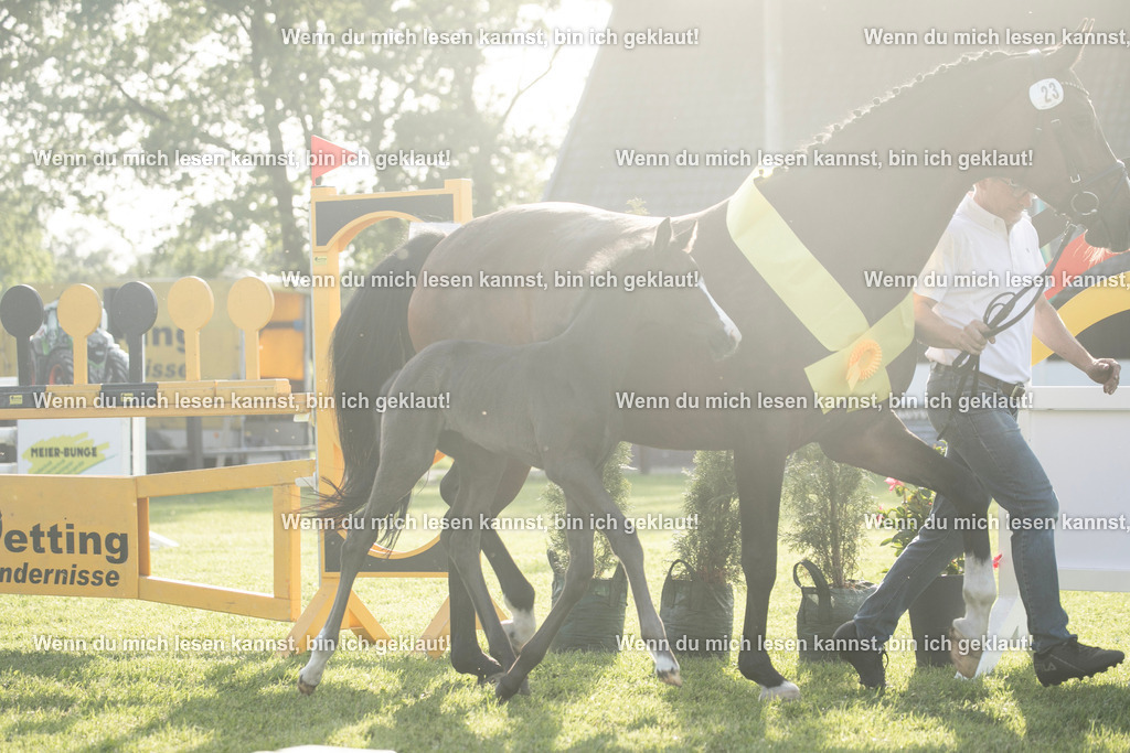 598A7548 | photographylinaismer - Realisiert mit Pictrs.com