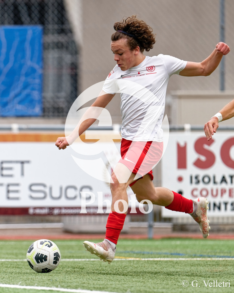 DSC_6642 | Velletri Photo