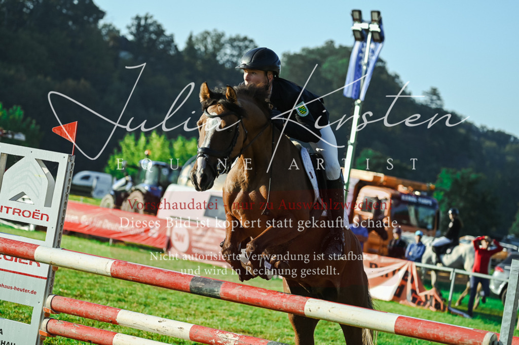 DSC_4133 | Pferde- und Turnierfotografie in Westsachsen. Pferdeportraits, Auftragszeichnungen und intuitive Kunst.