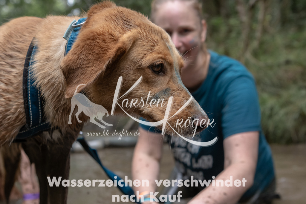 1348_ZZ96078 | kk-dogfotos