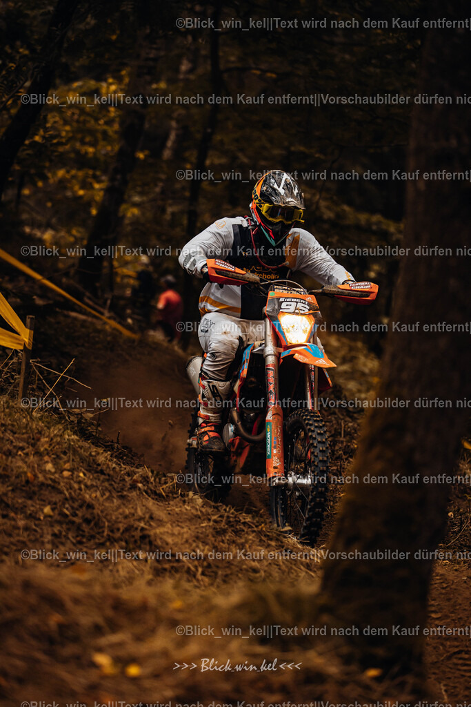 E68A5277 | blick_win_kel