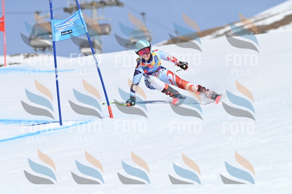 BGV_9790 | holidayphoto