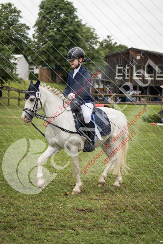 IMG_8028 | Sport-, Event- und Tierfotos in Profiqualität. Einfach auswählen, bestellen und herunterladen. Dein Moment – perfekt festgehalten.