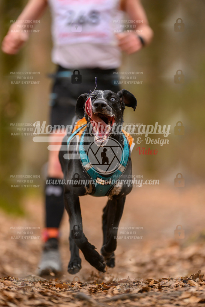 MompixPhotography_Habay2025_SA_CCC-35 | PayLife