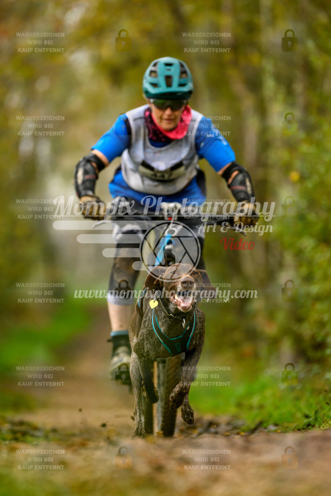 MompixPhotography_20TSB_E6_Bike-103 | PayLife