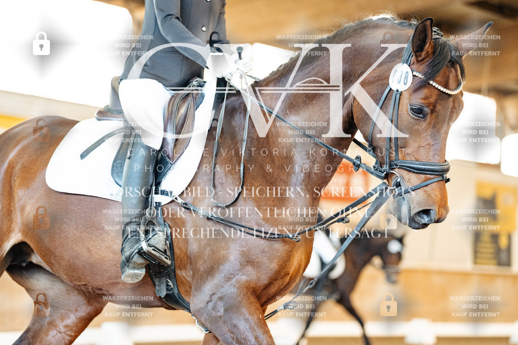 CK908029 | Turnierfotografie Pferdefotografie Trier Rheinland-Pfalz Pferdesport Reitsport Tierfotografie Sportfotografie Pferdevideo Pferdevideografie Equestrianvideography equestrianphotography  - Realized with Pictrs.com