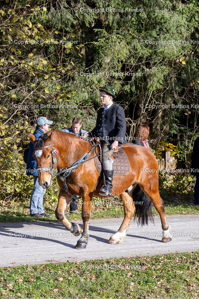 LBT24-964 | foto-bettina-krinner - Realisiert mit Pictrs.com