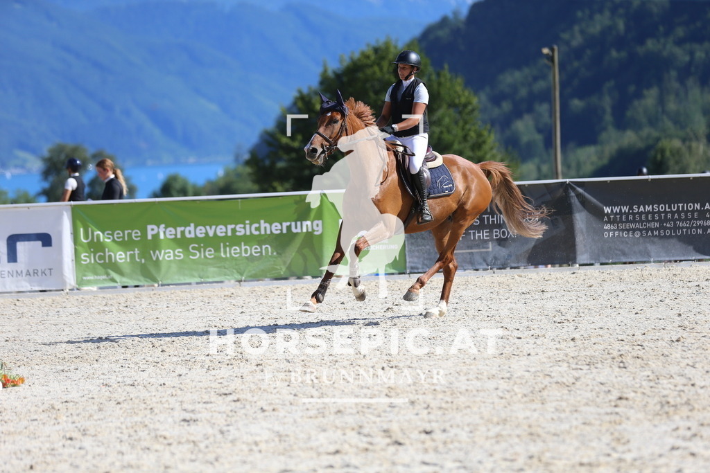 DL2Q8184 | Willkommen bei Brunnmayr - Design & Fotografie – Ihrem Spezialisten für Reitturniere und Pferdeveranstaltungen in Oberösterreich, Salzburg und Bayern! Seit über 17 Jahren sind wir leidenschaftlich dabei.