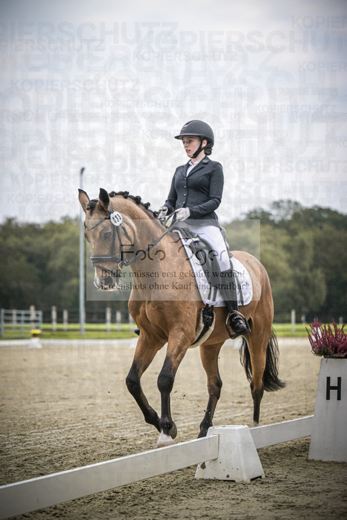 DOS_B416 | Entdecke hochwertige Reitturnierfotos von Foto Oger. Professionell, emotional und authentisch – jetzt Lieblingsmomente im Shop bestellen.Deutschlandweite Turnierfotografie. - Realisiert mit Pictrs.com