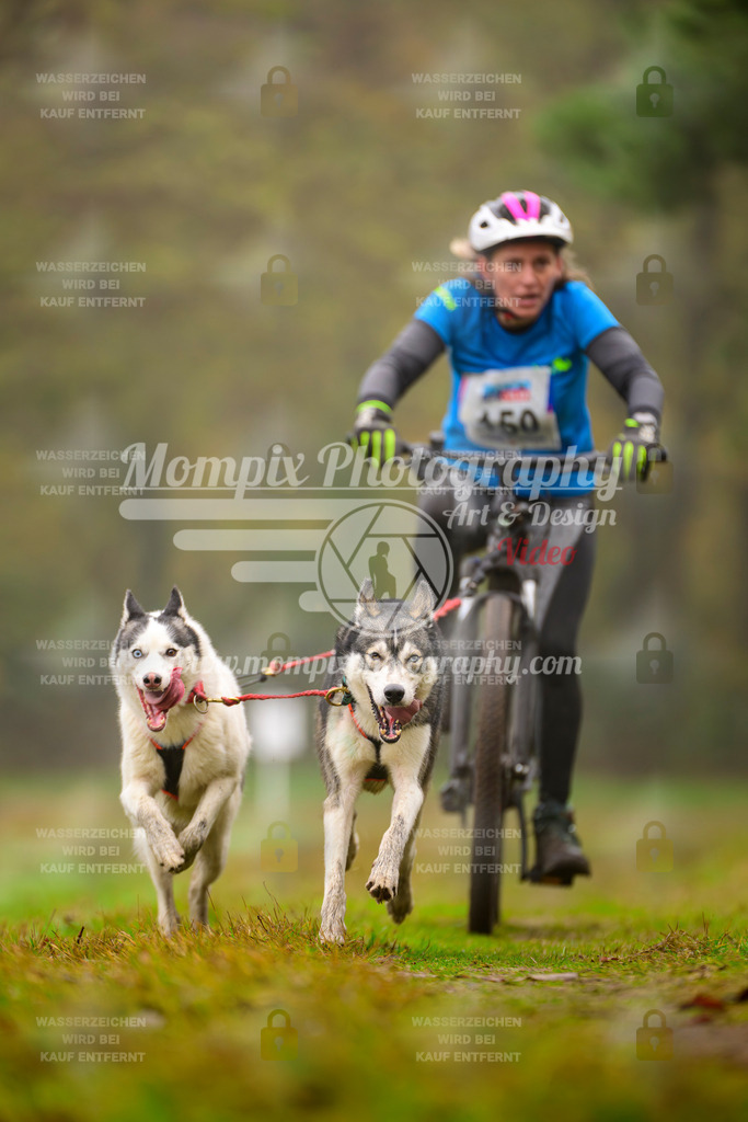 MompixPhotography_Bischwiller2025_Bike-133 | mompixphotography