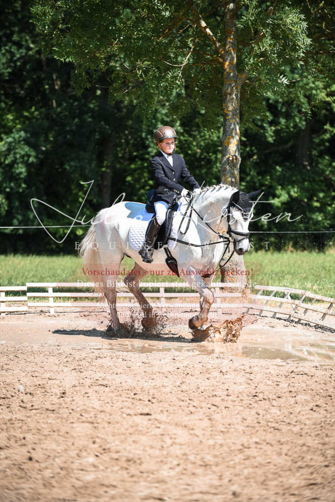 DSC_3592 | Pferde- und Turnierfotografie in Westsachsen. Pferdeportraits, Auftragszeichnungen und intuitive Kunst.