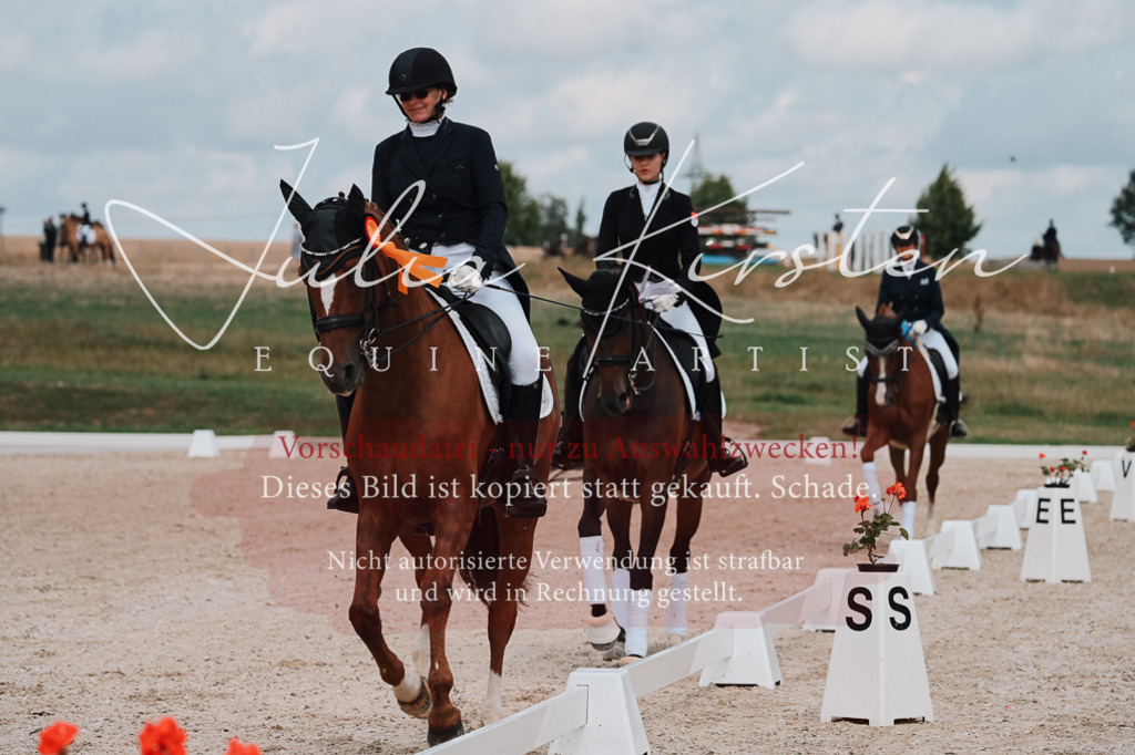 DSC_4137 | Pferde- und Turnierfotografie in Westsachsen. Pferdeportraits, Auftragszeichnungen und intuitive Kunst.