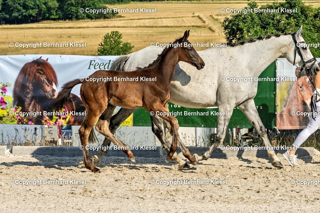 A1S08573 | foto-team-bernhard - Realisiert mit Pictrs.com