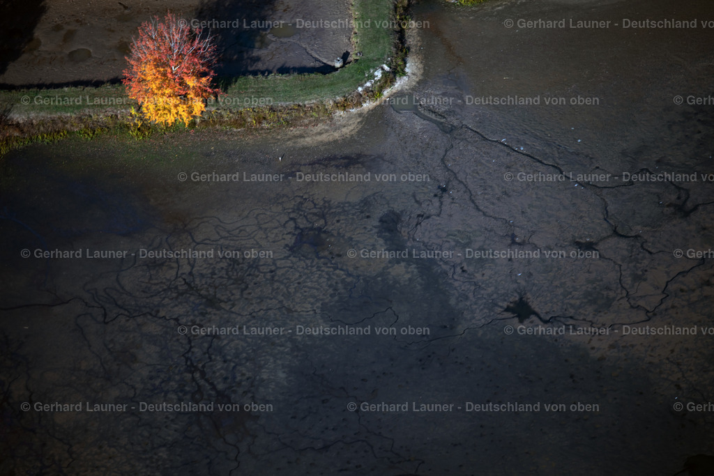 3808127 | Herbstliche Bäume an den Fischteichen bei Adelsdorf