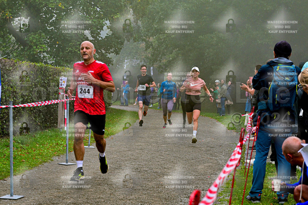 Z8N_1724 | la-psv - Realisiert mit Pictrs.com