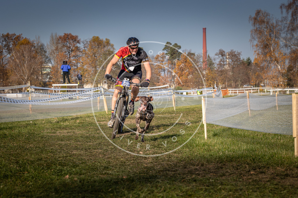 CaniXpix_0L8A7028 | Hundefotografie, Tierfotograf, Pfotenfotografie, Fotoshooting Hund, Hunde Portrait, Hundesport, Hundeportraits, Heideshooting, Hunde, Sportfotograf, Hundefotograf, Turnierhundsport, THS,  - Realisiert mit Pictrs.com