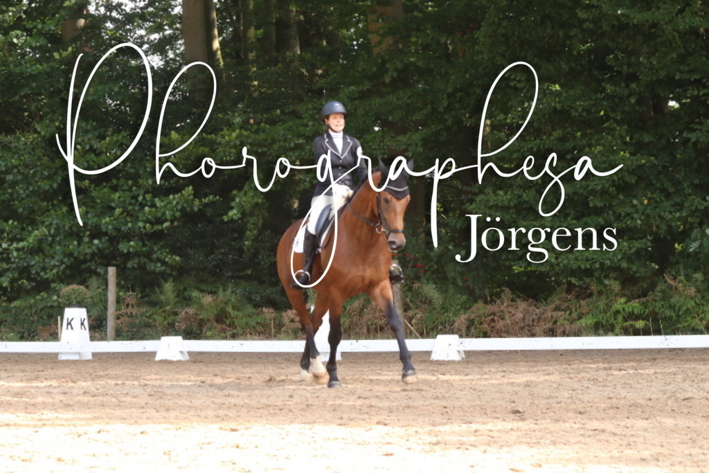 IMG_0341 | photographesa-joergens - Realisiert mit Pictrs.com