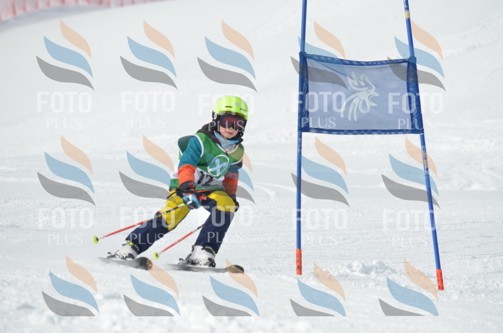 D8542 | holidayphoto