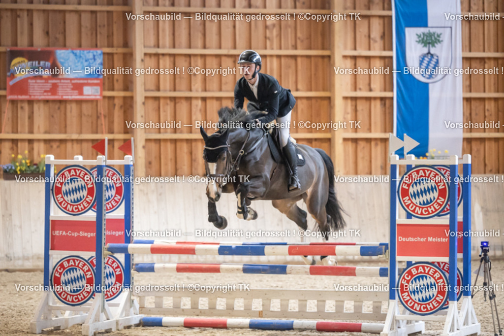 _D5A7469 | Emotionale Pferde- & People-Fotografie rund um Heidelberg, Leimen & Umgebung. Natürliche Fotos von Pferd, Mensch & Familie. Jetzt Termin sichern!