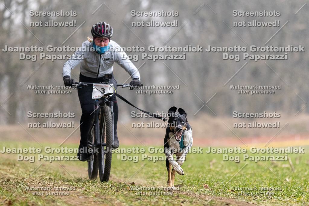 Dog Paparazzi - Plate 2026-3 | Dog Paparazzi Jeanette Grottendiek Fotografie & Videografie - Realisiert mit Pictrs.com