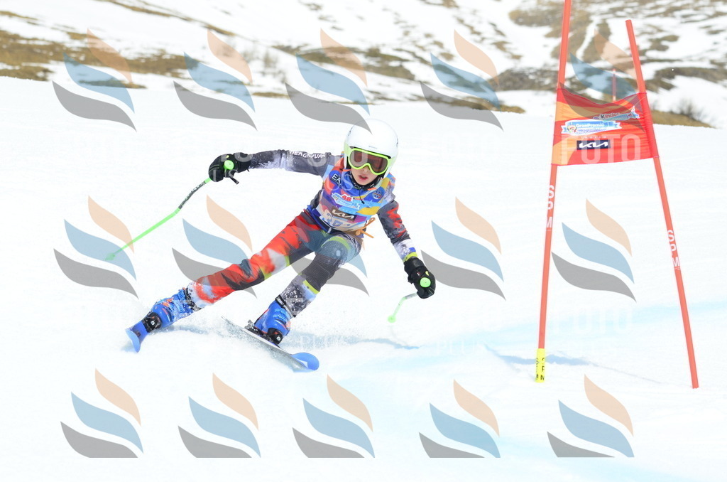 _ELE2686 | holidayphoto