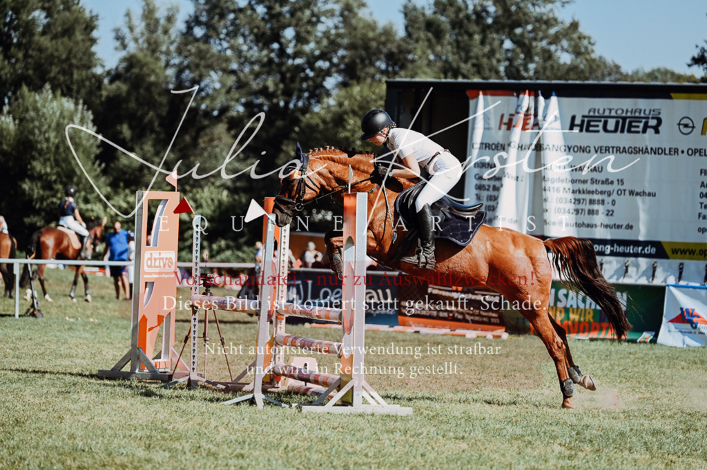 DSC_6887 | Pferde- und Turnierfotografie in Westsachsen. Pferdeportraits, Auftragszeichnungen und intuitive Kunst.