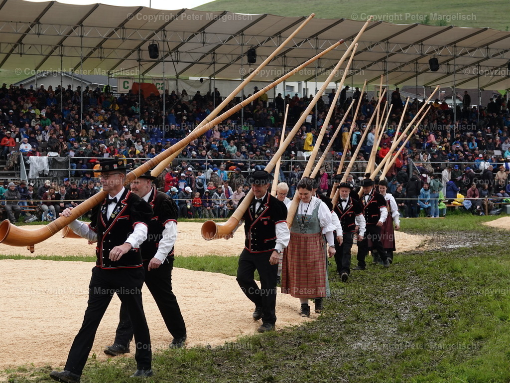 DSC07611 | Schwingen - Realisiert mit Pictrs.com